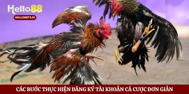 Đá Gà Hello88 Hình số 3 Các bước thực hiện đăng ký tài khoản cá cược đơn giản