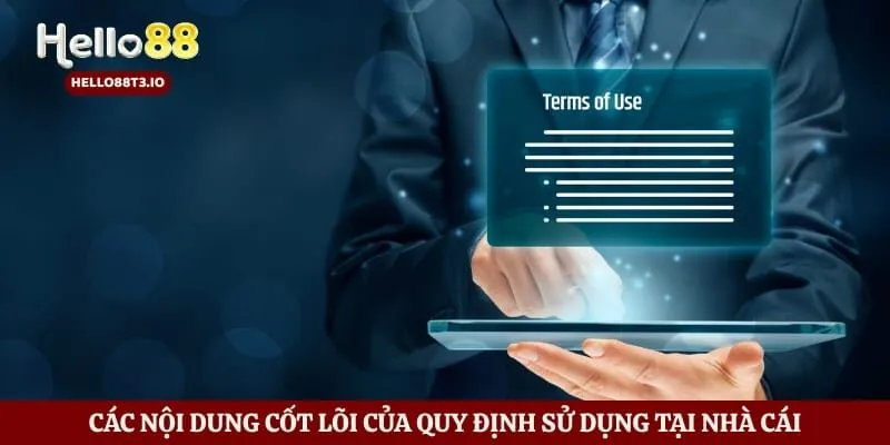 Điều Khoản Điều Kiện Hình số 1 Các nội dung cốt lõi của quy định sử dụng tại nhà cái