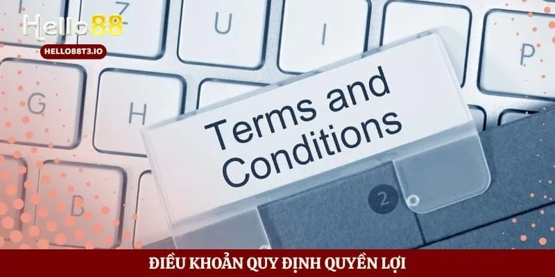 Điều Khoản Điều Kiện Hình số 2 Điều khoản quy định quyền lợi