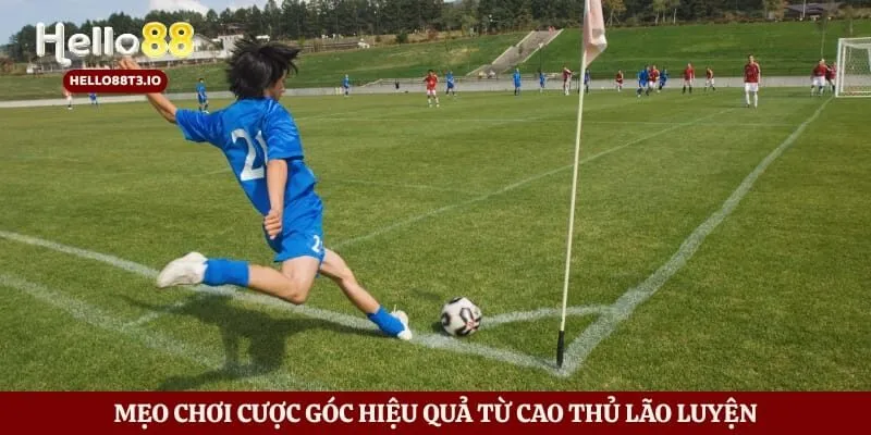 Kèo Phạt Góc - Bí Mật Ăn Tiền Triệu Từ Các Ông Lớn Hình số 4 Mẹo chơi cược góc hiệu quả từ cao thủ lão luyện