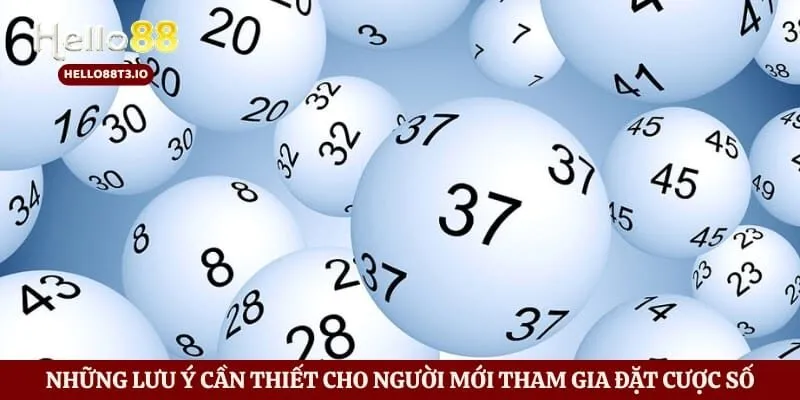 Xổ Số Hello88 Hình số 4 Những lưu ý cần thiết cho người mới tham gia đặt cược số